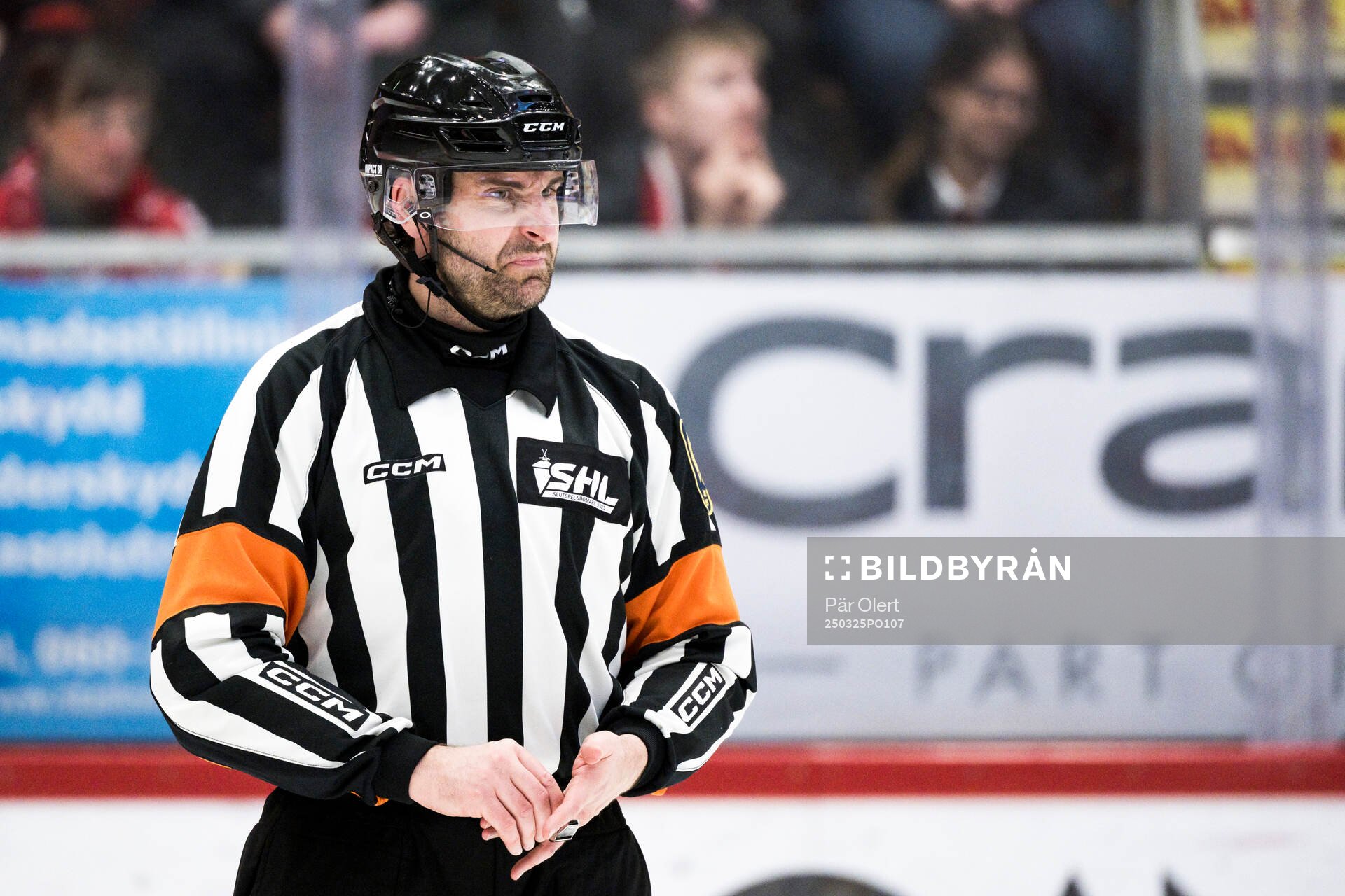 Domare Mikael Sjöqvist