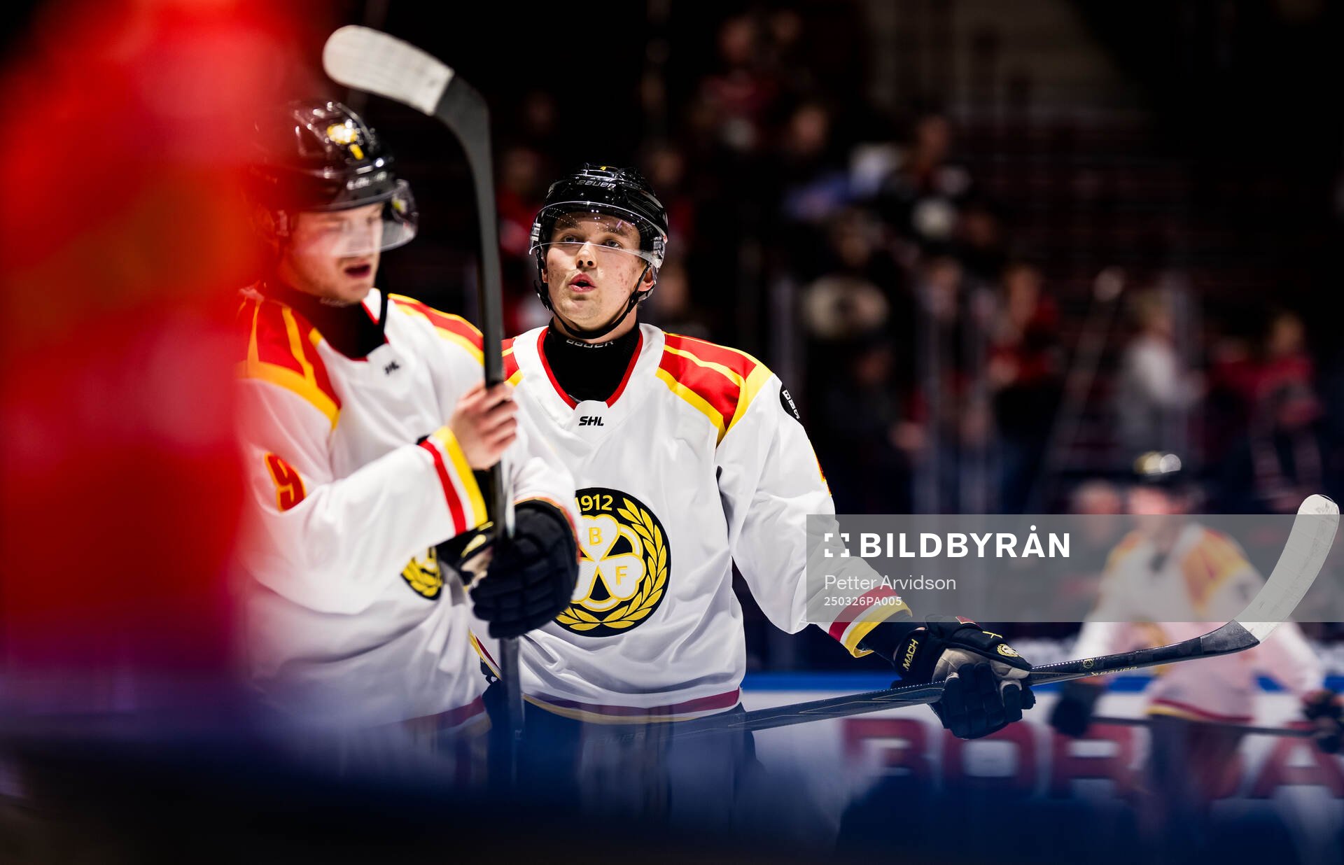 Brynäs Theo Lindstein
