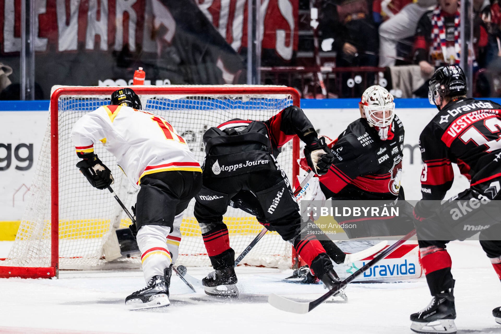 Brynäs Jordan Schroeder och Malmö Redhawks målvakt Oskar