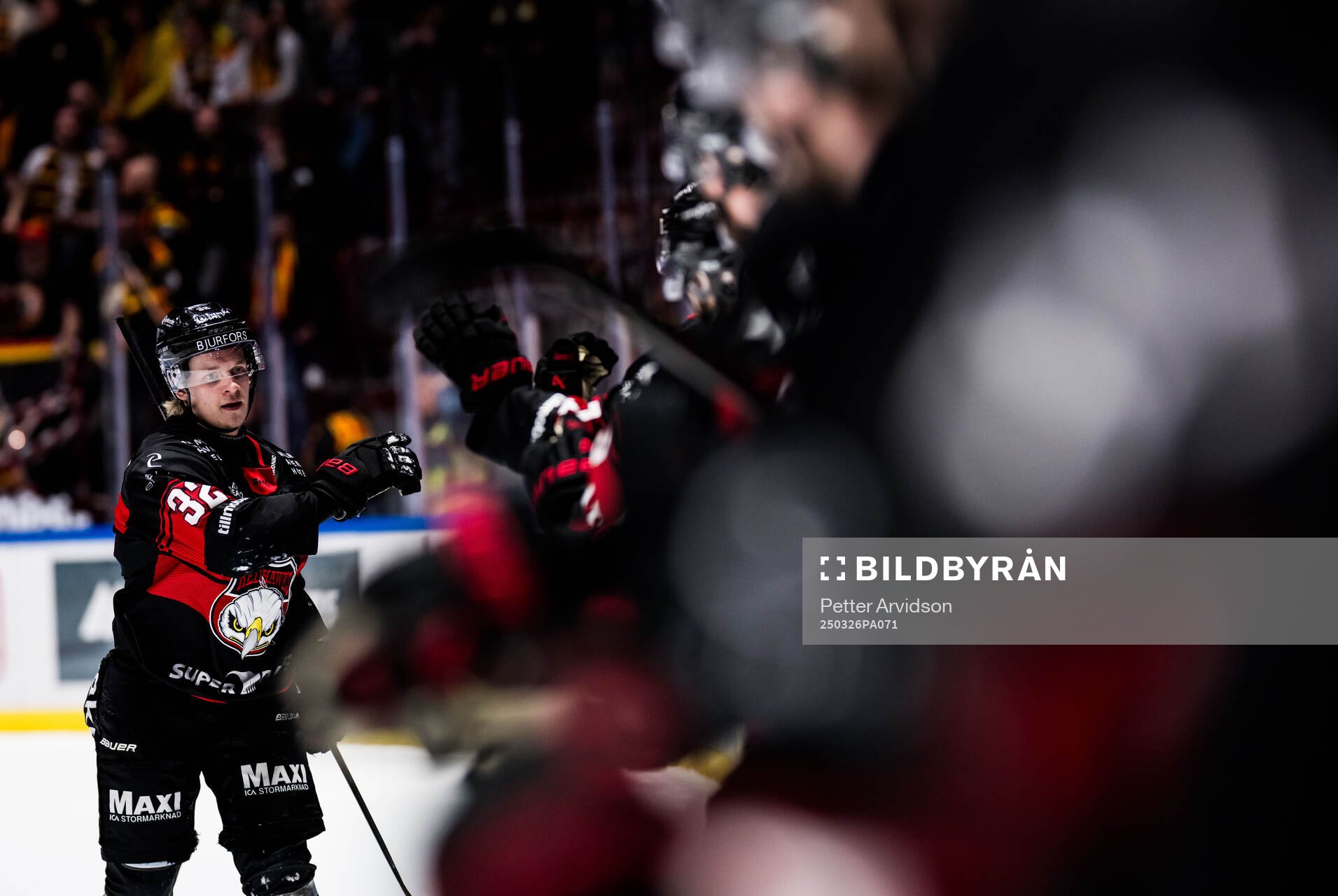 Malmö Redhawks Joona Ikonen jublar