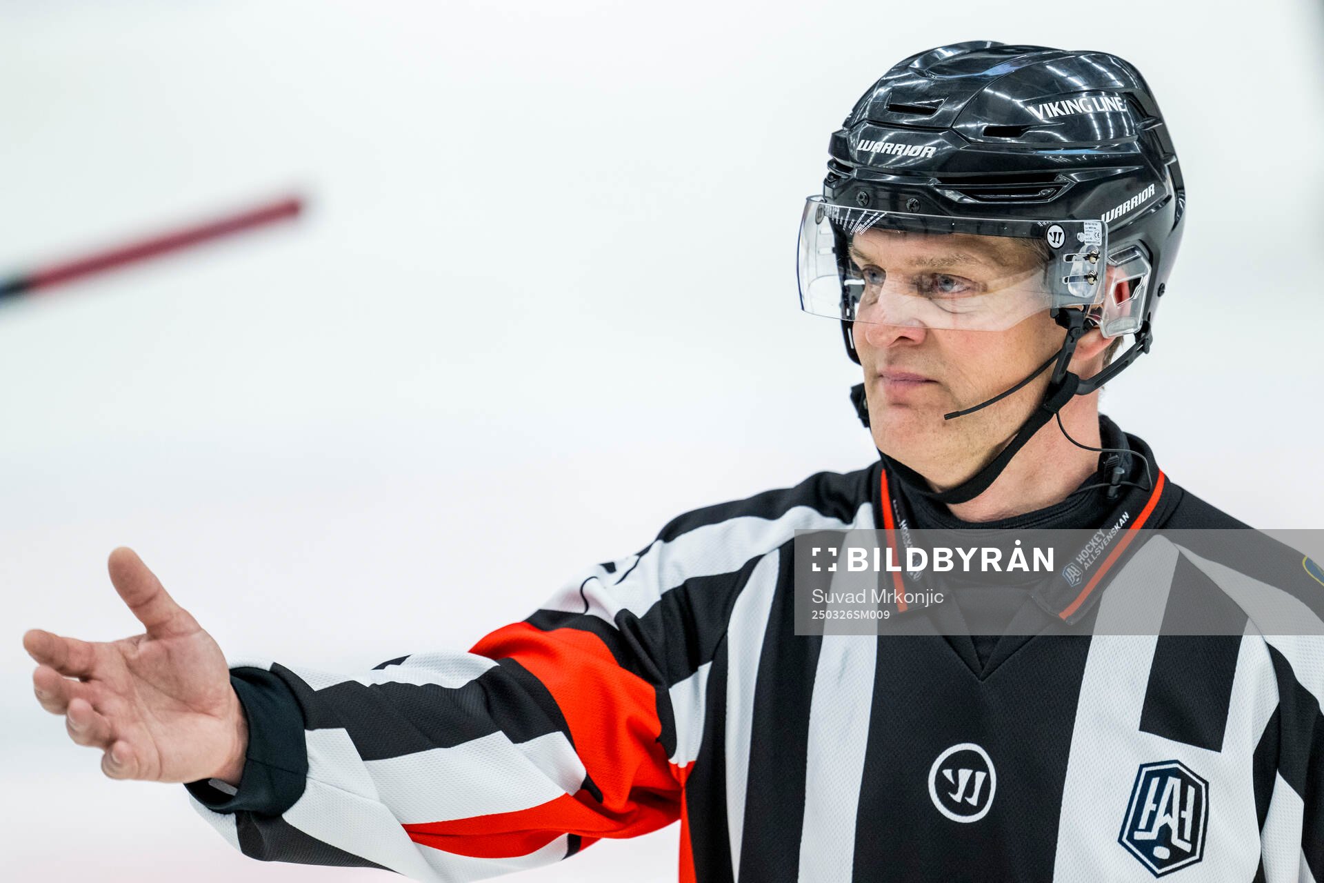 Domare Mikael Nord