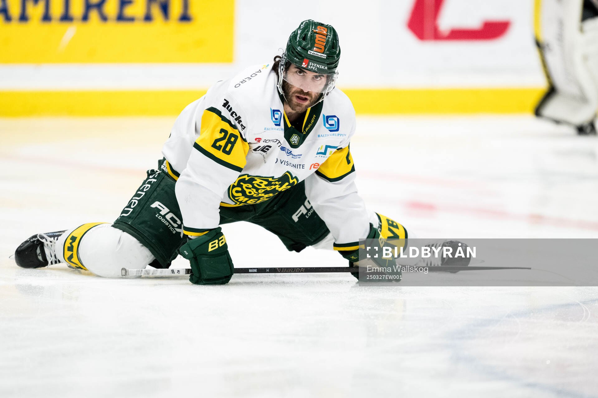 Björklövens Mathew Maione