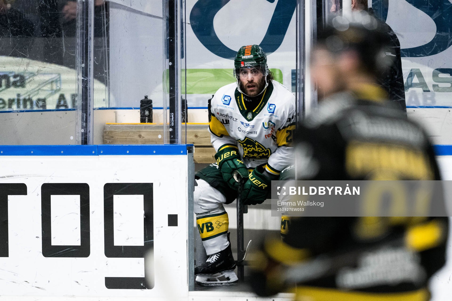 Björklövens Mathew Maione