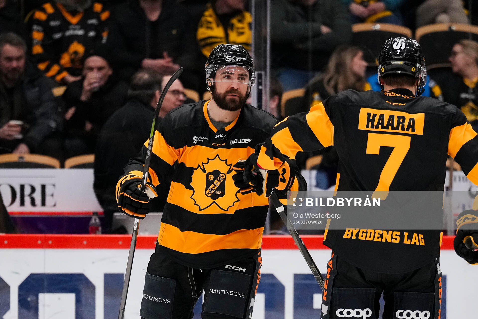 Skellefteås Luke Witkowski