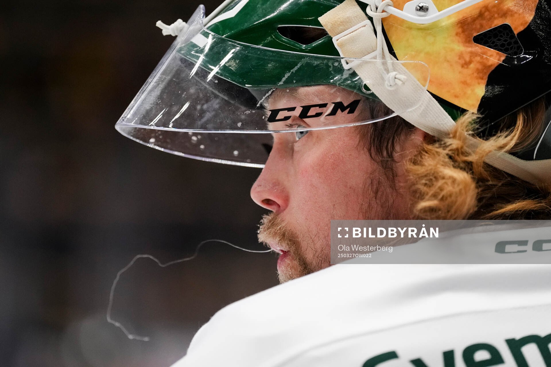 Färjestads målvakt Anders Lindbäck