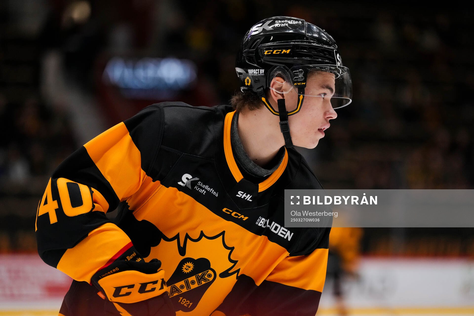 Skellefteås Viggo Nordlund