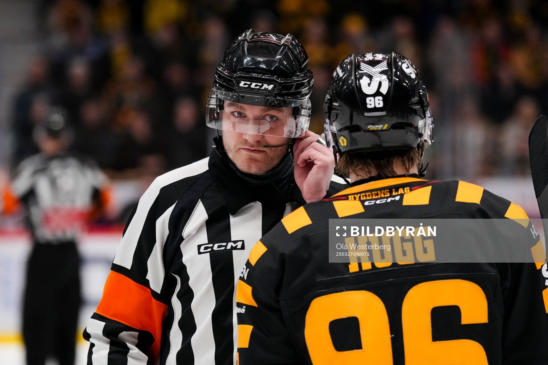 Domare Daniel Eriksson och Skellefteås Rickard Hugg