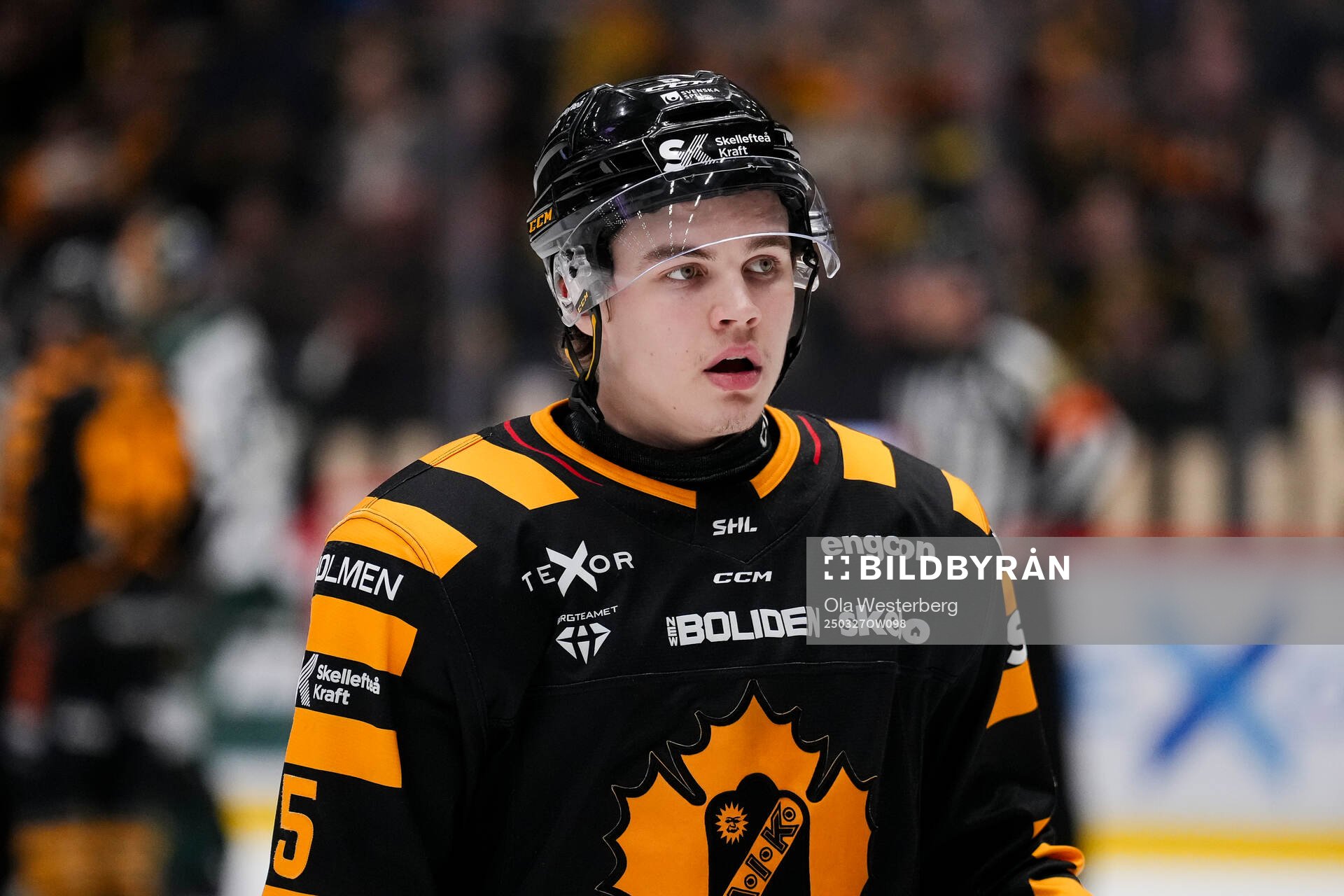 Skellefteås Axel Sandin Pellikka