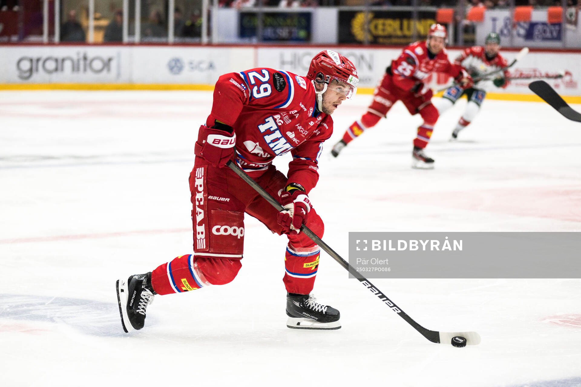 Timrås Filip Hållander