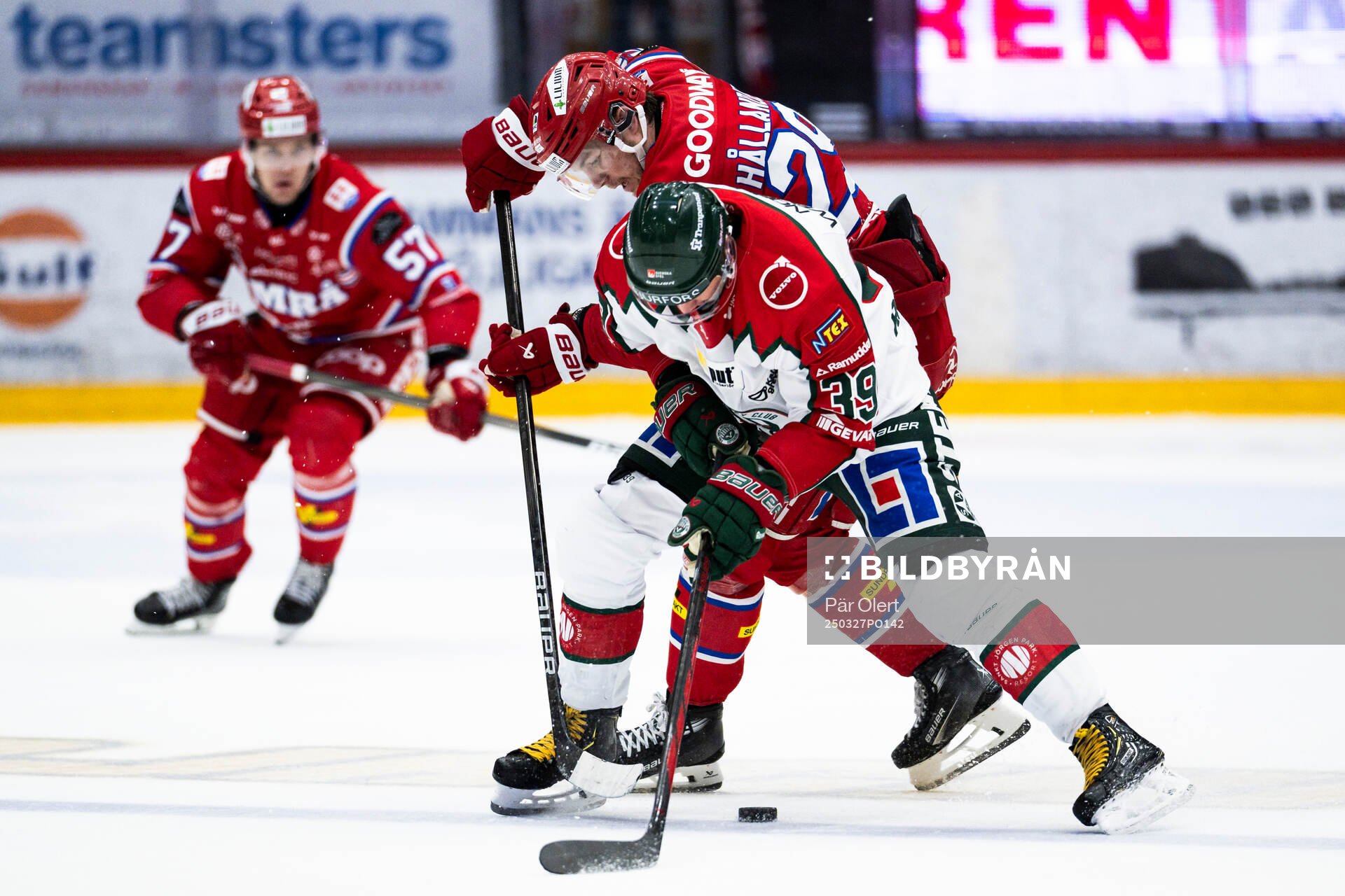 Timrås Filip Hållander och Frölundas Mikael Ruohomaa