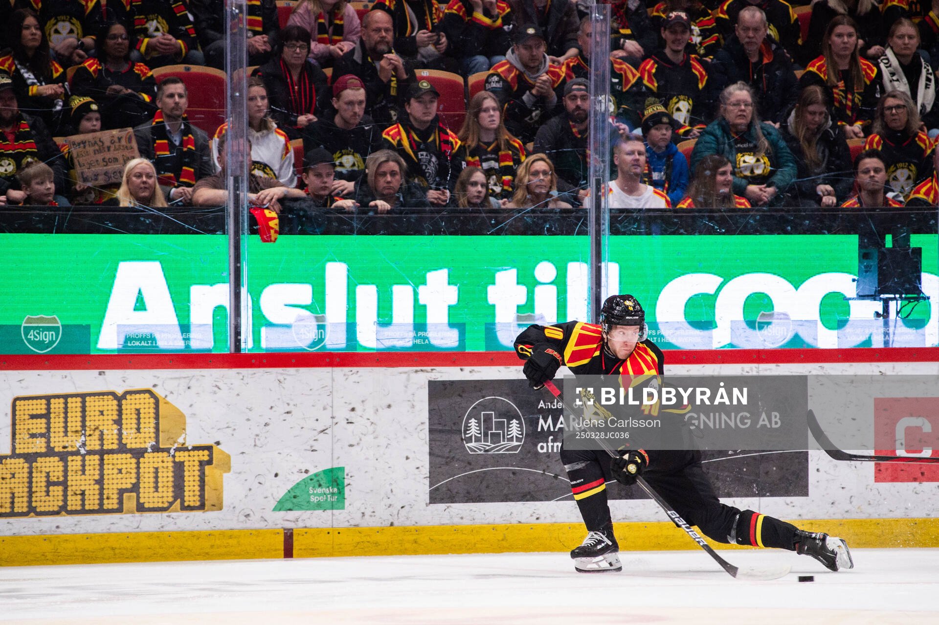 Brynäs Anton Ohlsson