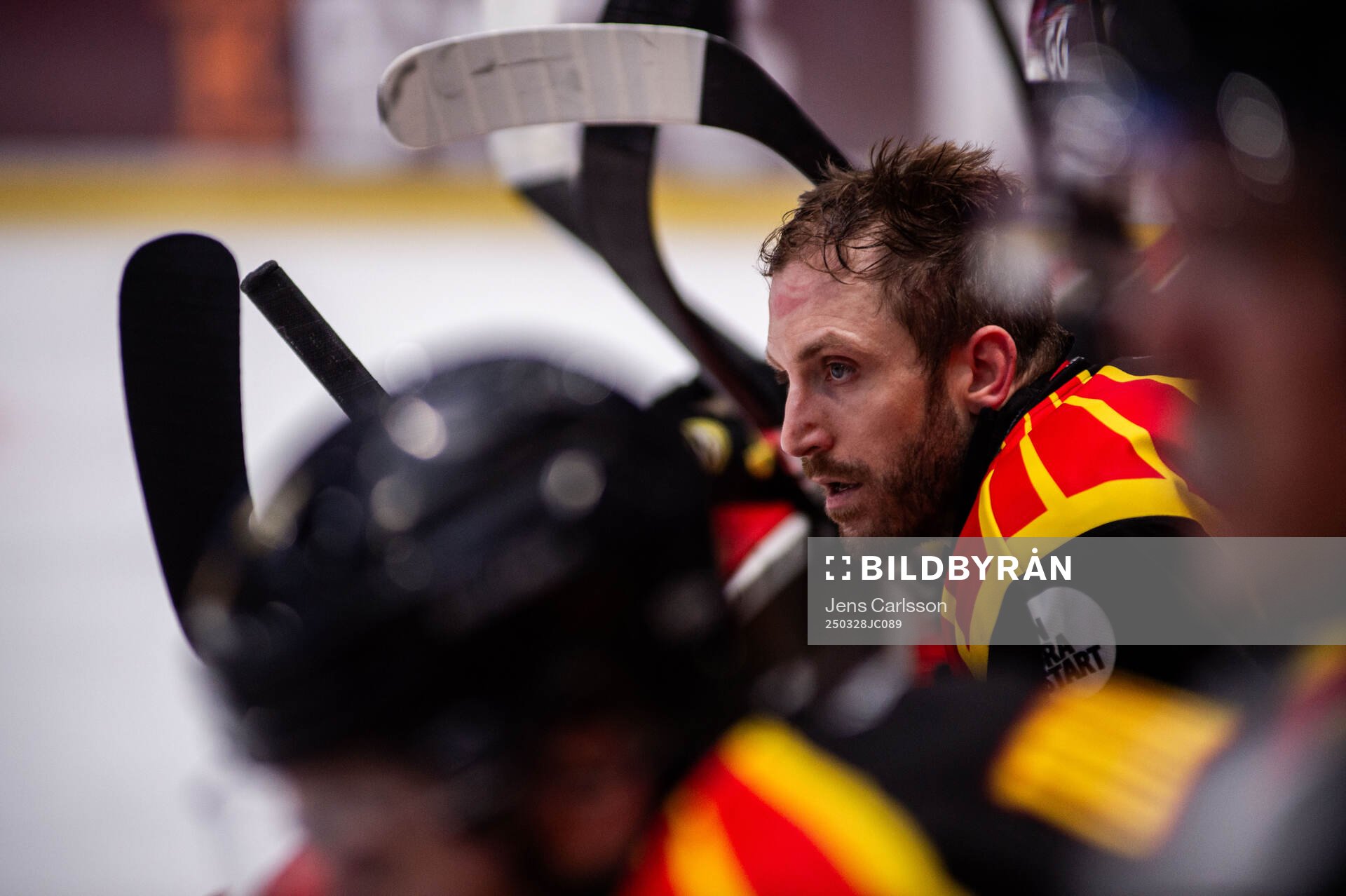 Brynäs Jordan Schroeder