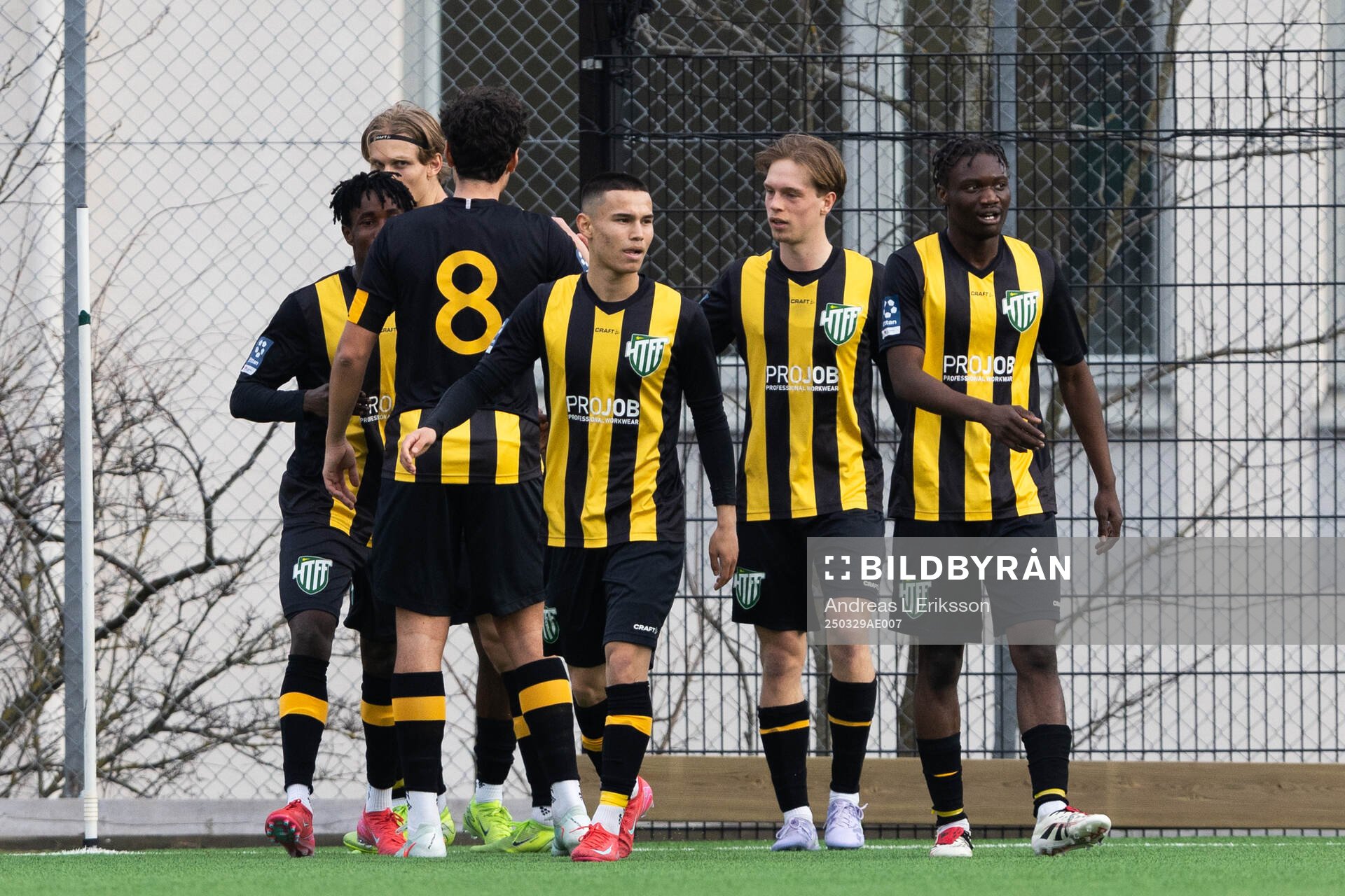 Hammarby TFFs spelare jublar