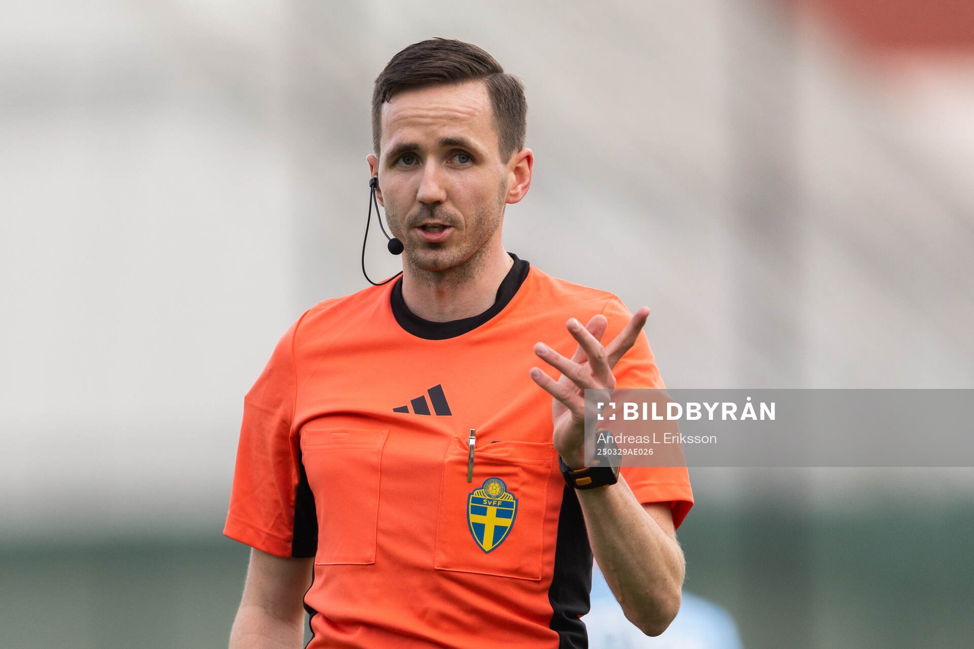 Domare Henric Karlsson