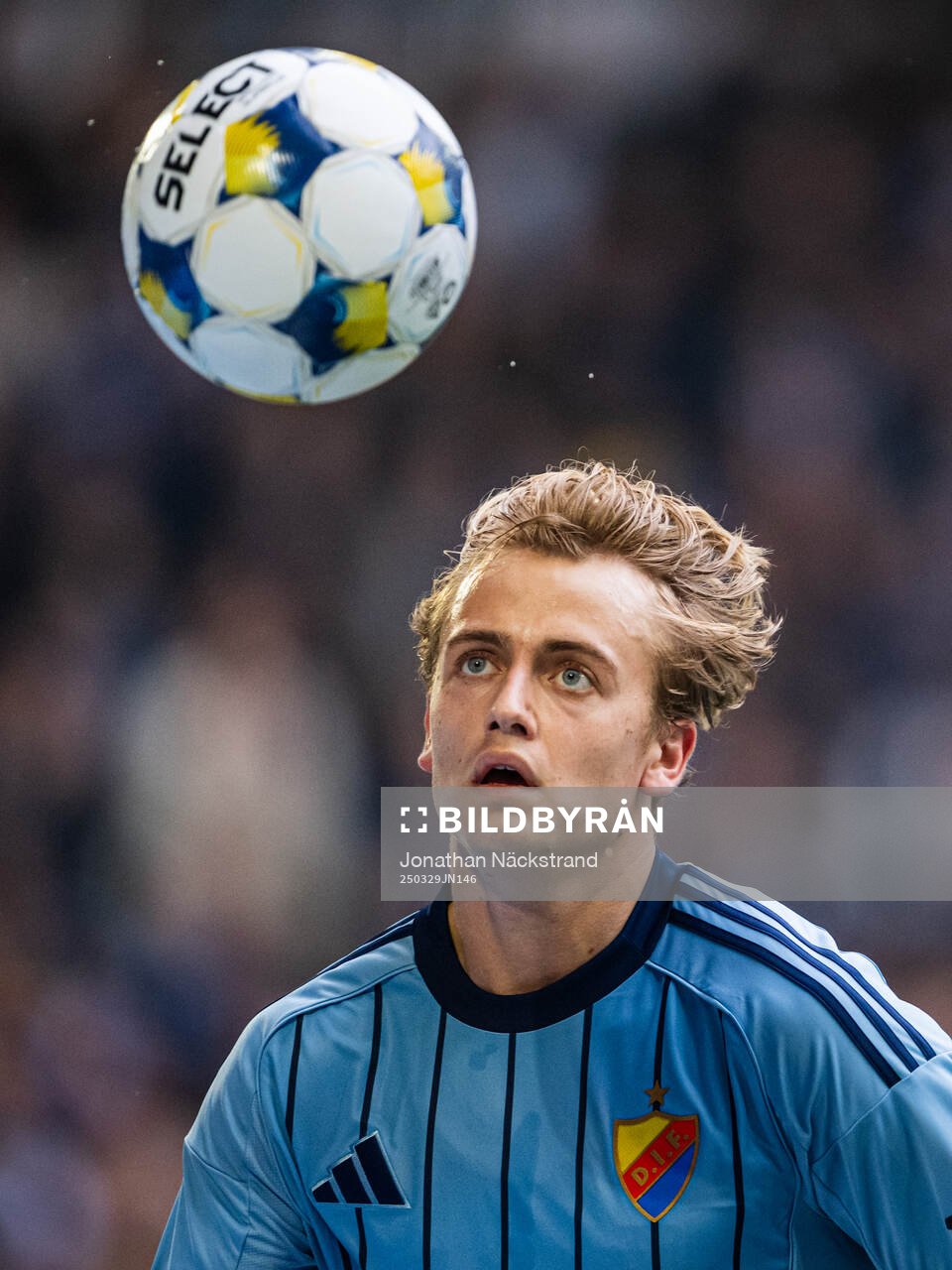 Djurgårdens Oskar Fallenius