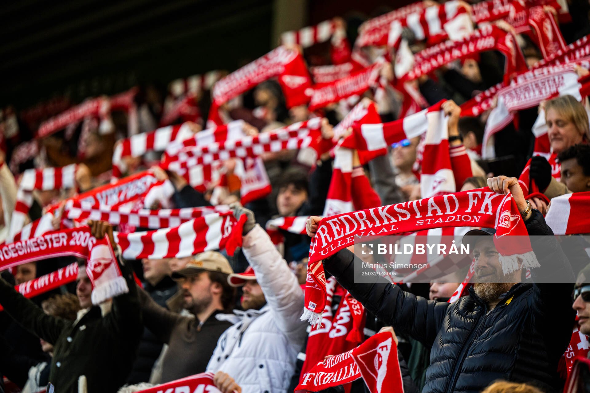 Spectators in the stands