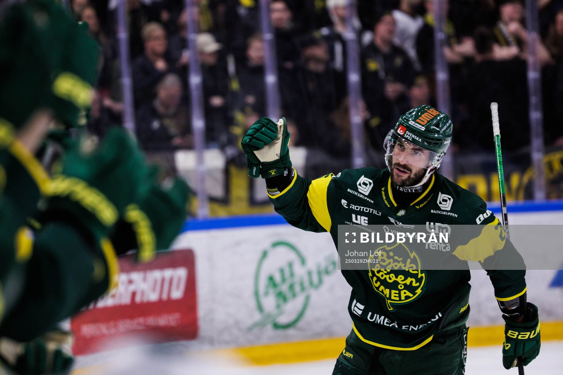 Björklövens Felix Girard jublar