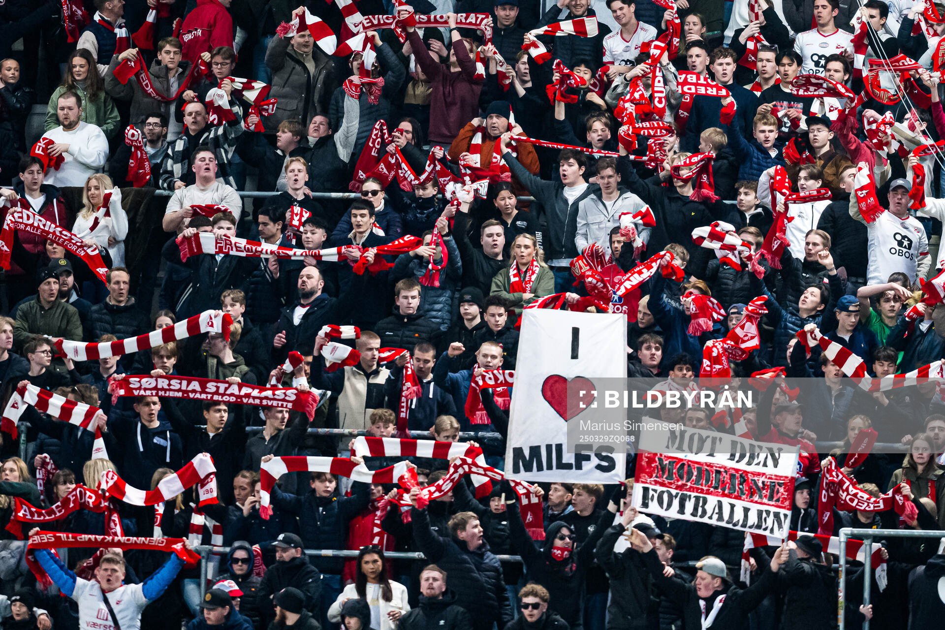 Spectators in the stands