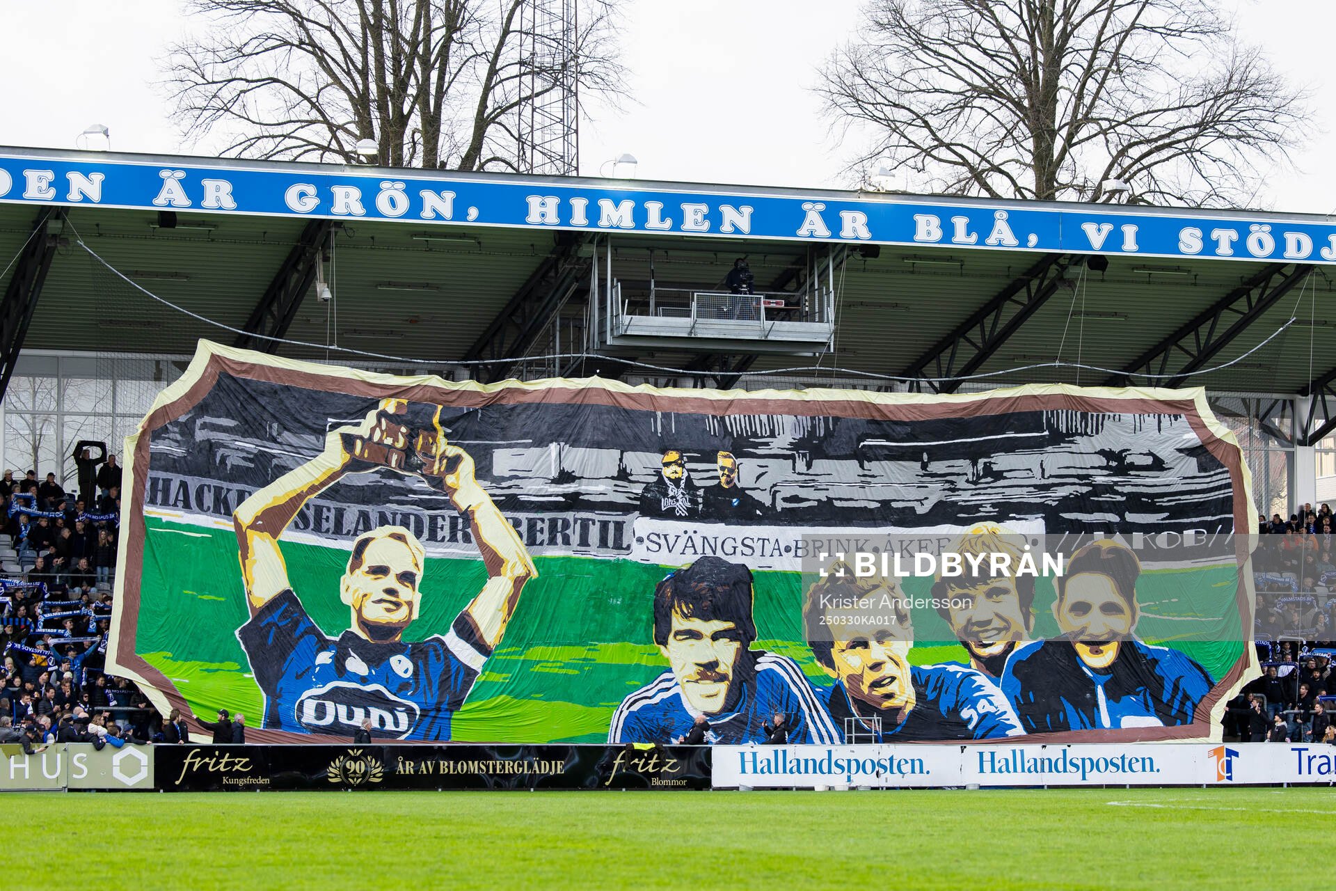 Halmstads tifo