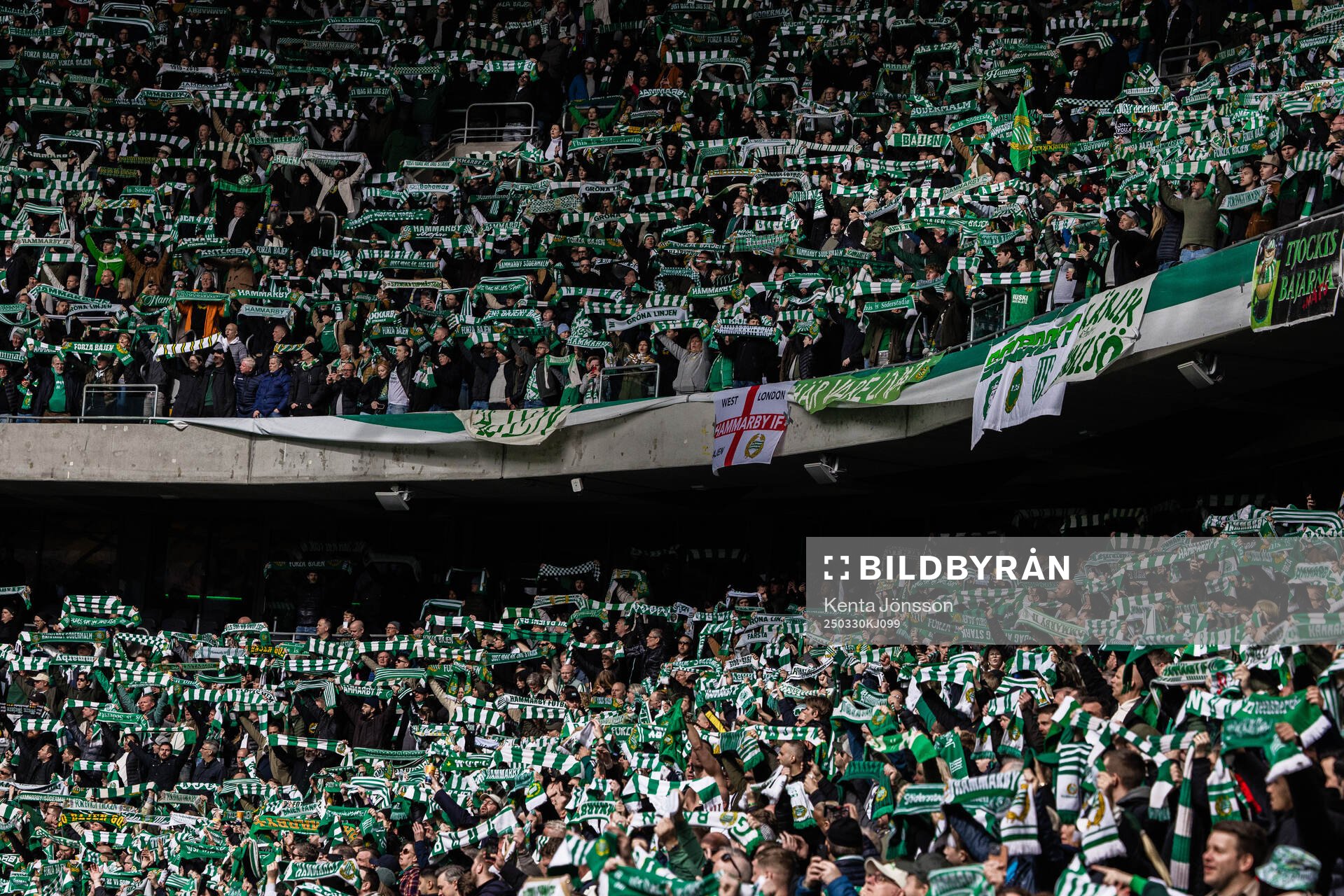Hammarbys supportrar