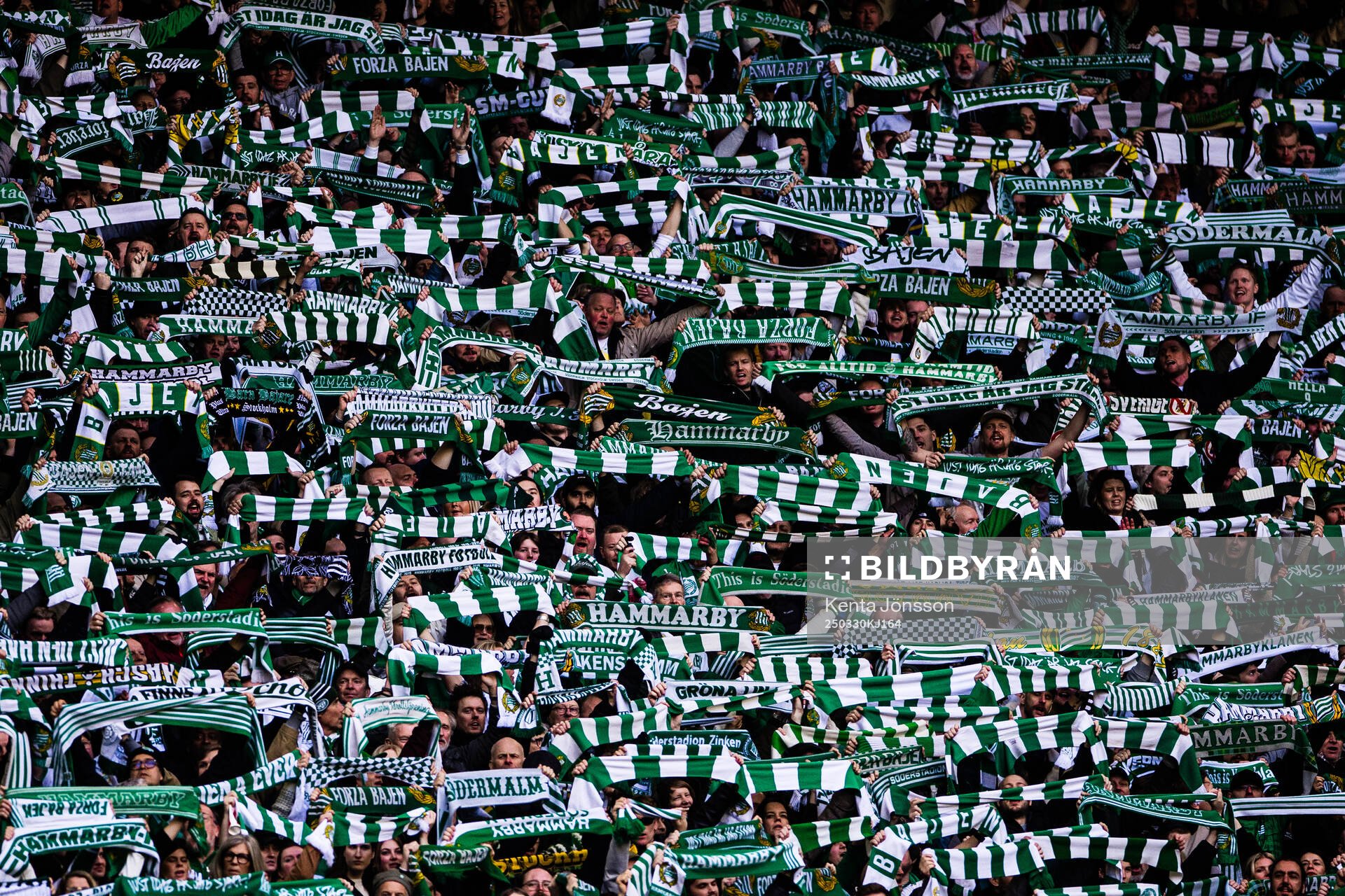 Hammarbys supportrar med halsdukar