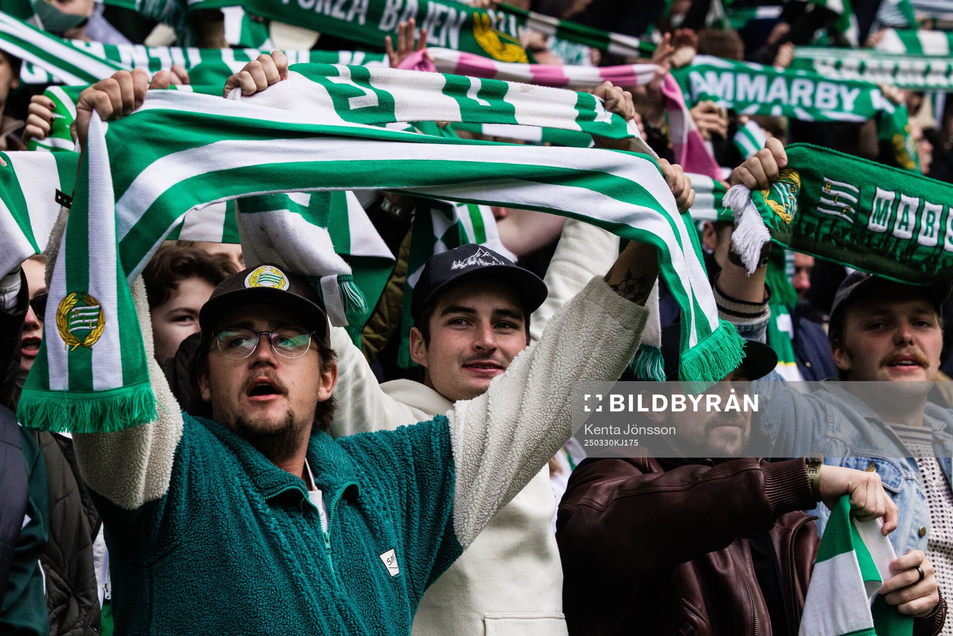 Hammarbys supportrar