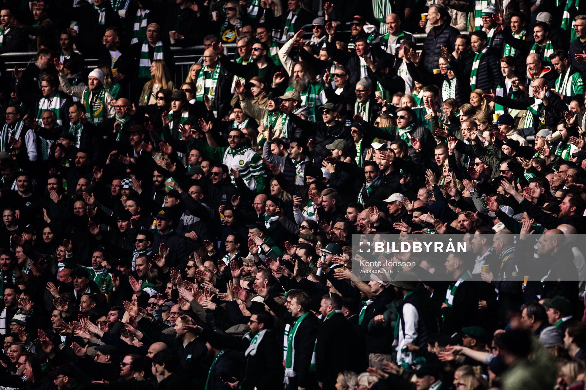 Hammarbys supportrar