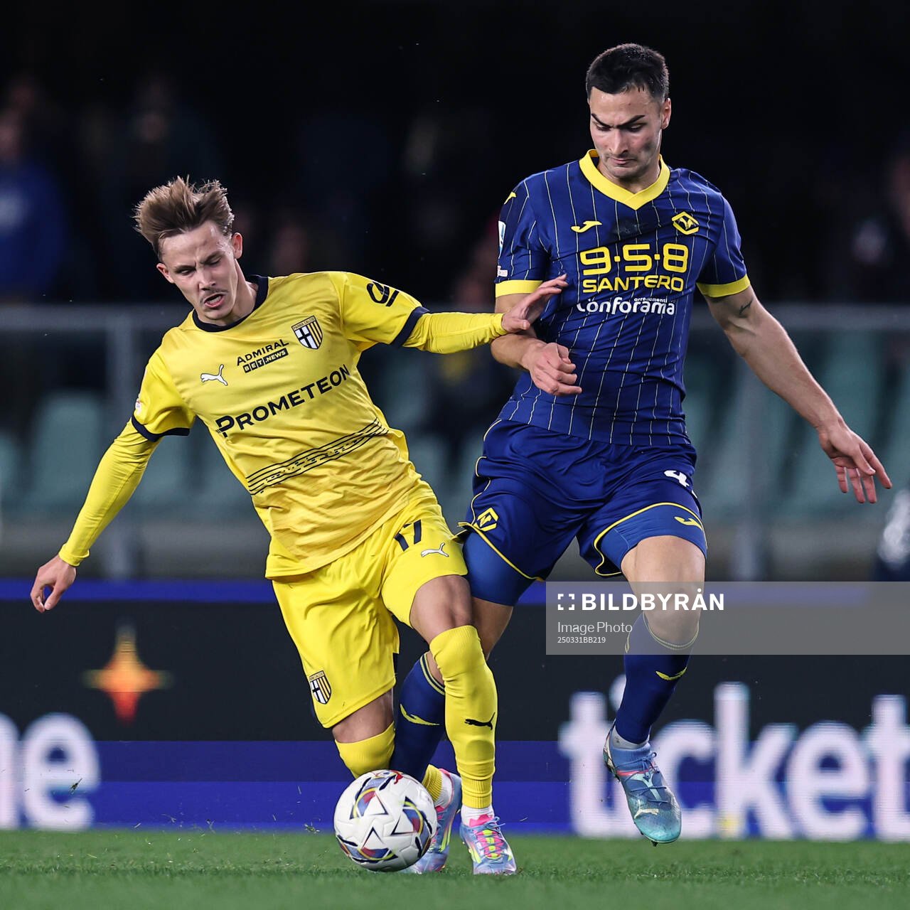 Mf Verona 31/03/2025 - campionato di calcio serie A /