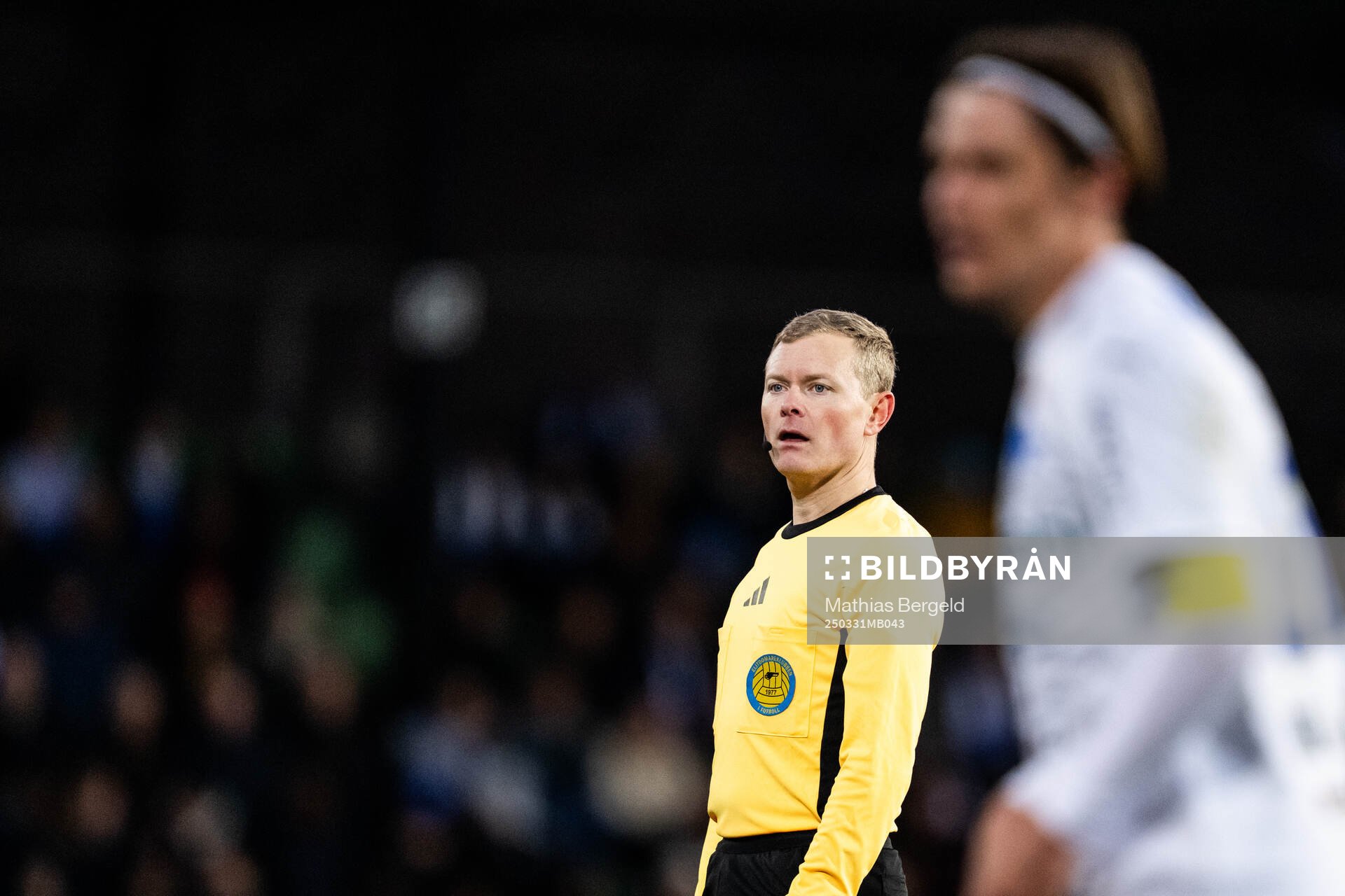 Domare Fredrik Klitte