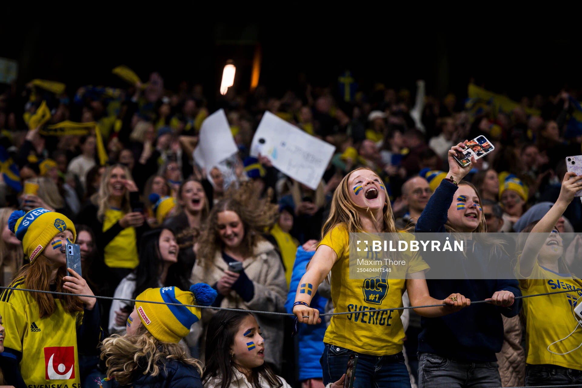 Young supporters of Sweden celebrate