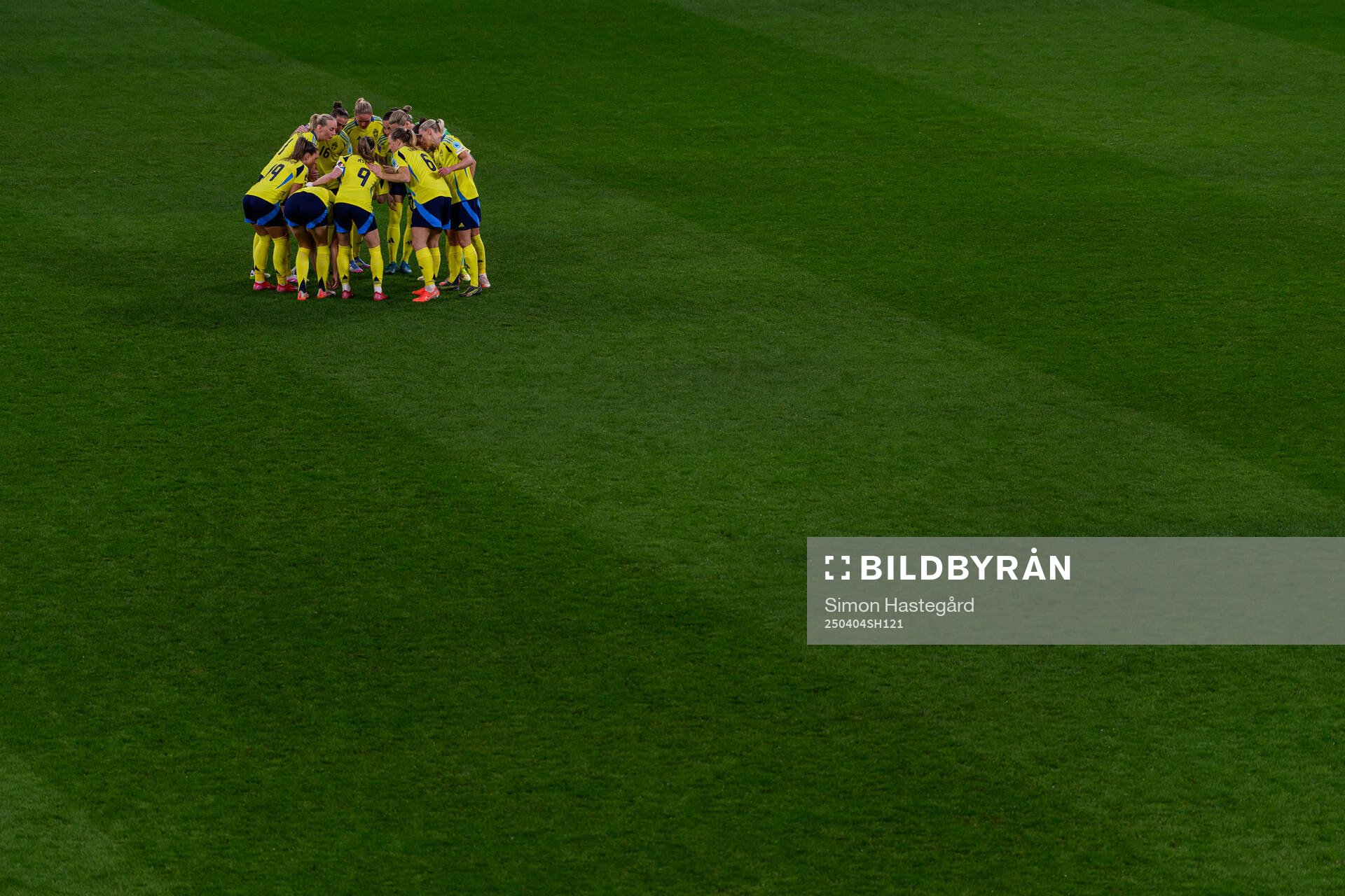 Players of Sweden gathered