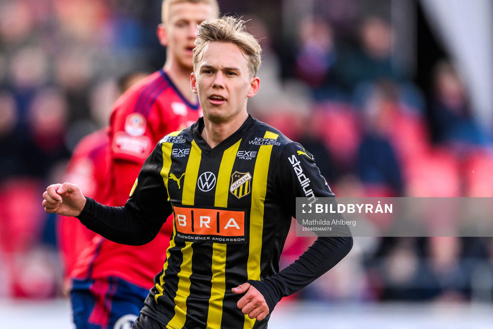 Häckens Pontus Dahbo