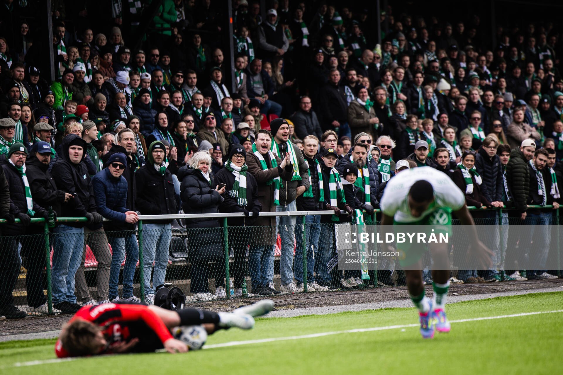 Hammarbys supportrar