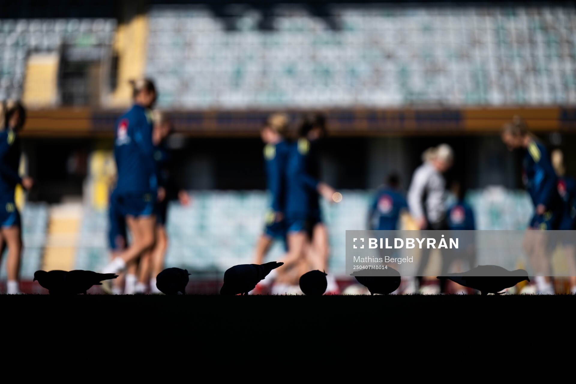Silhouettes of Pigeons during a training session with of the Swedish women's national football team on April 7, 2025 in Gothenburg.