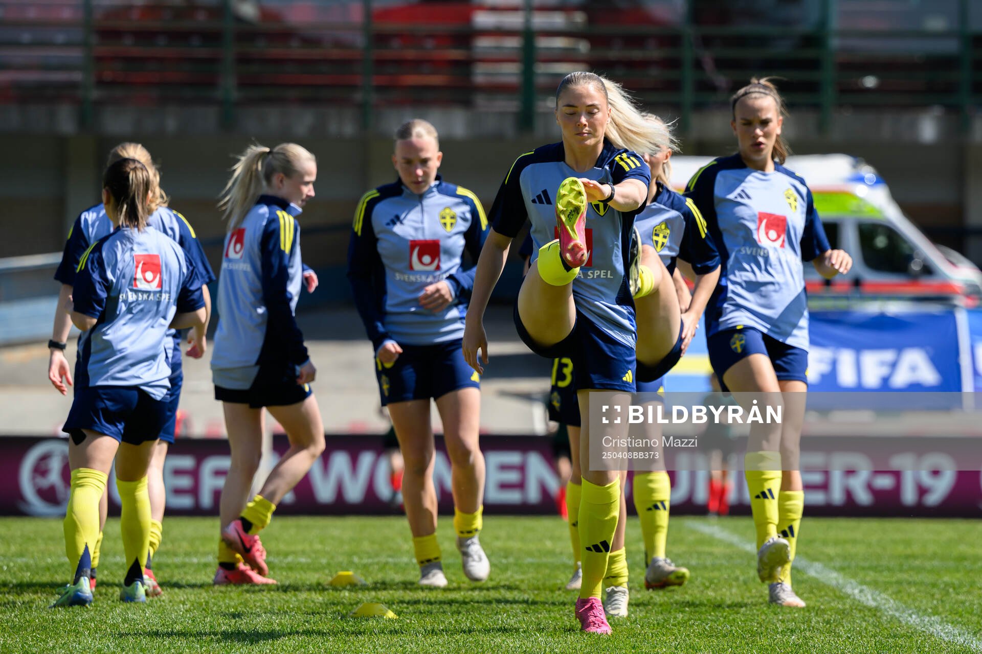 Players of Sweden