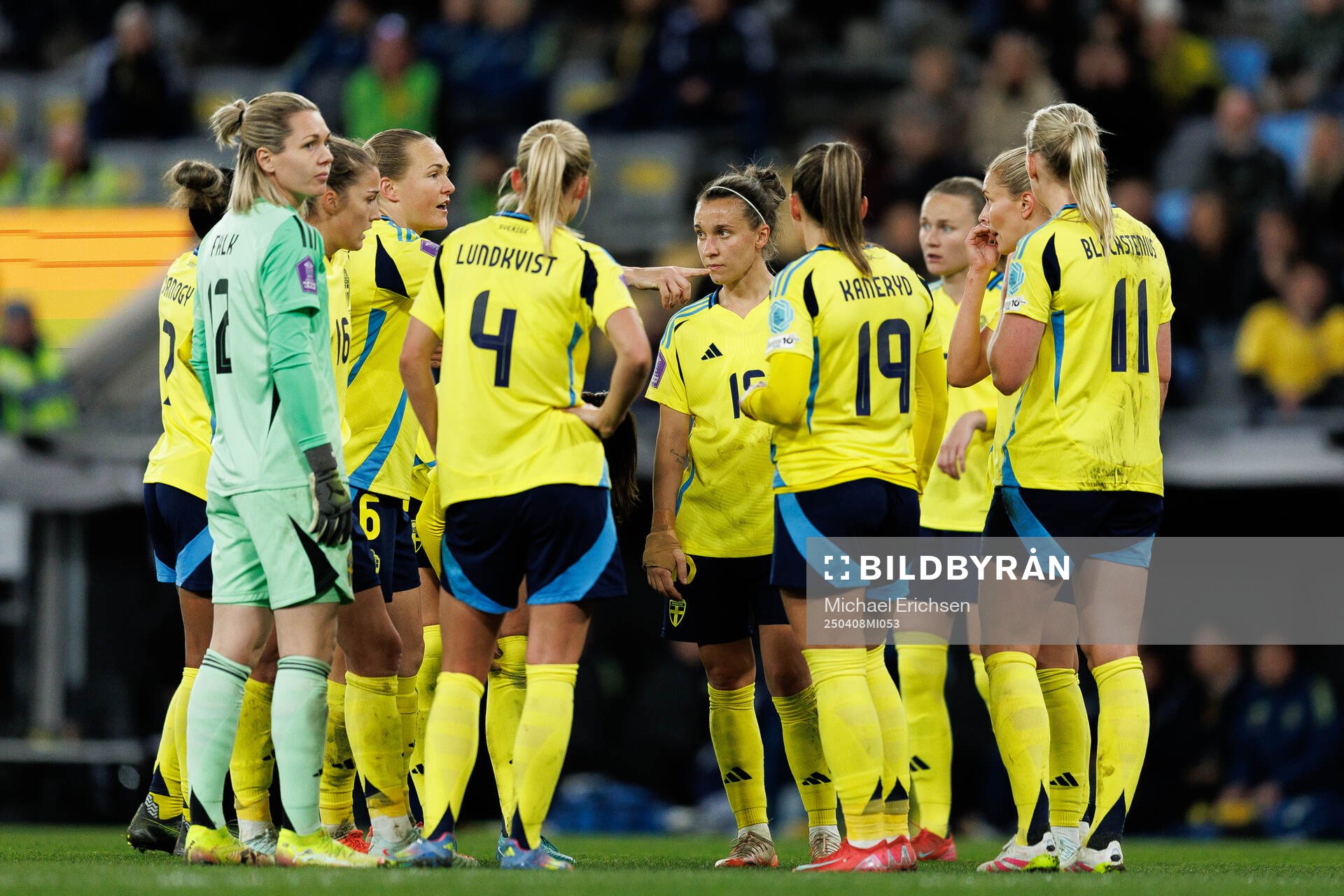 Players of Sweden