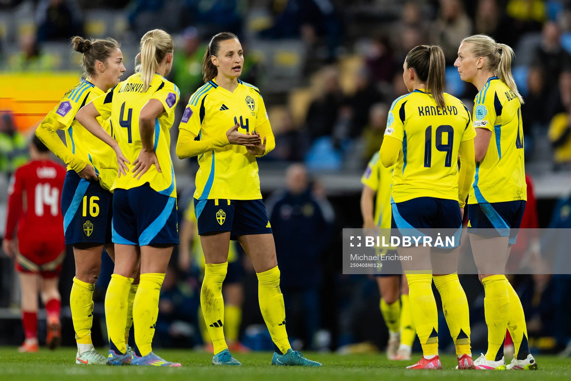 Players of Sweden