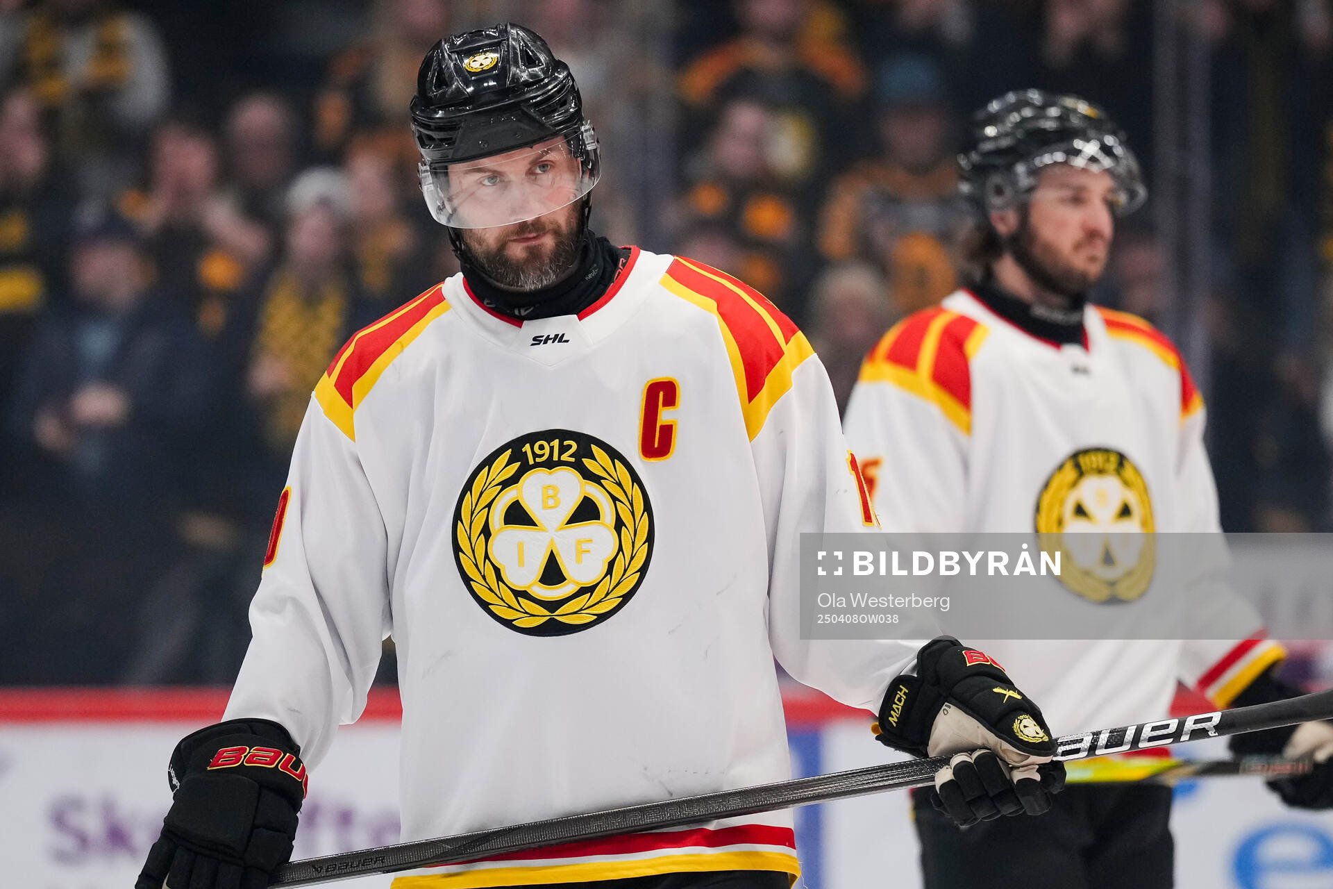 Brynäs Johan Larsson