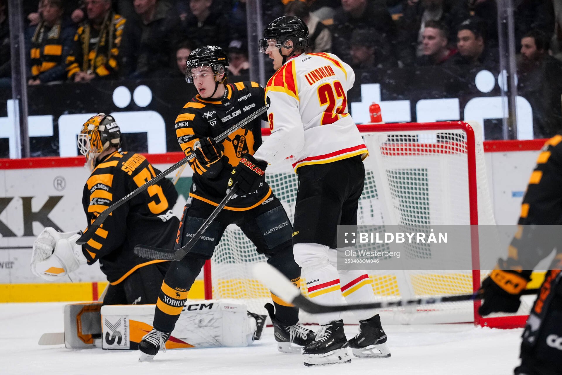 Skellefteås Axel Sandin Pellikka och Brynäs Oskar Lindblom