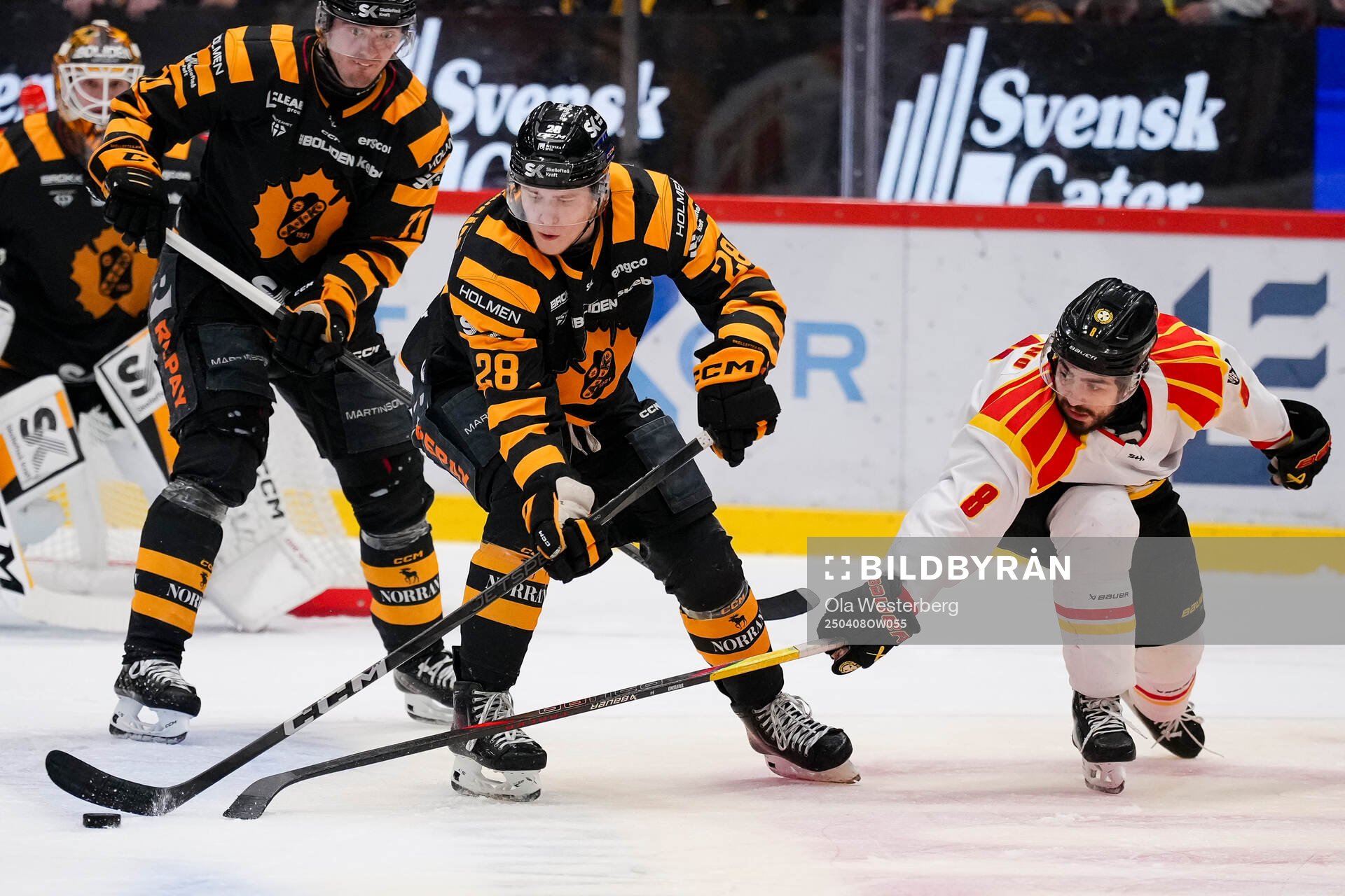 Skellefteås Michael Brandsegg-Nygård och Brynäs Bobby