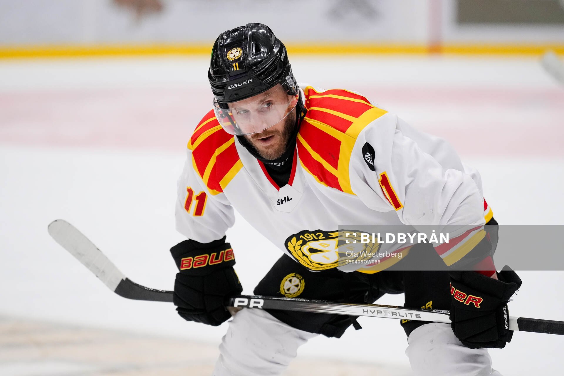 Brynäs Jordan Schroeder