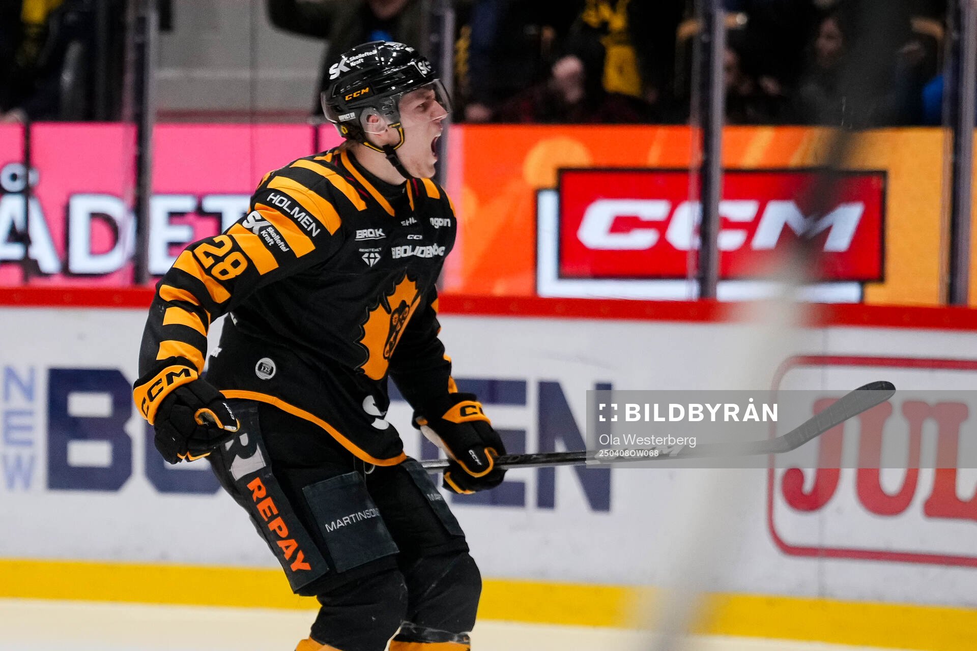 Skellefteås Michael Brandsegg-Nygård jublar