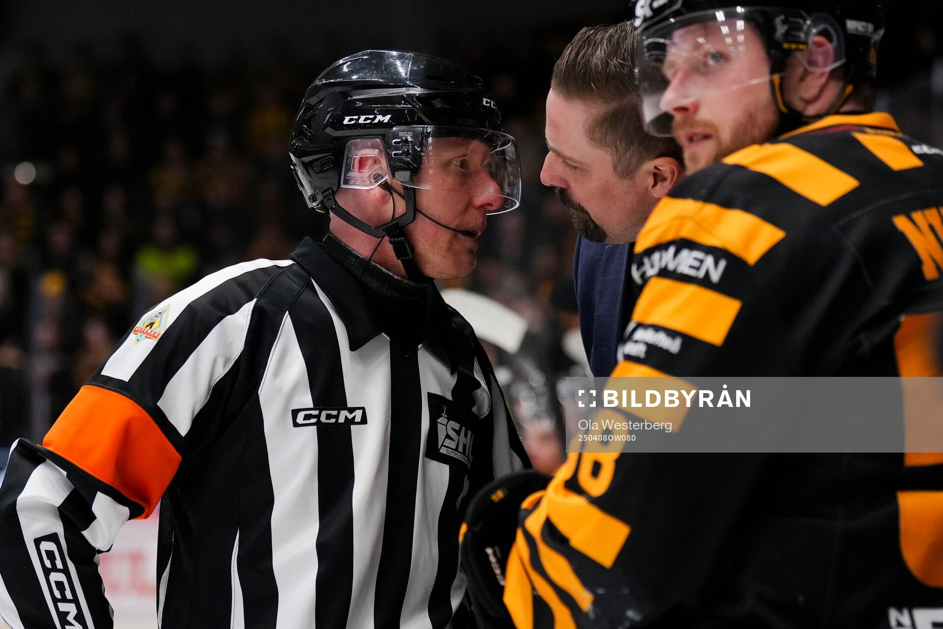 Domare Mikael Holm och Skellefteås tränare Pierre Johnsson