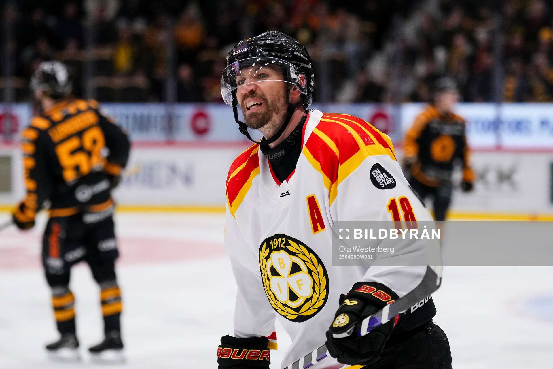 Brynäs Anton Rödin
