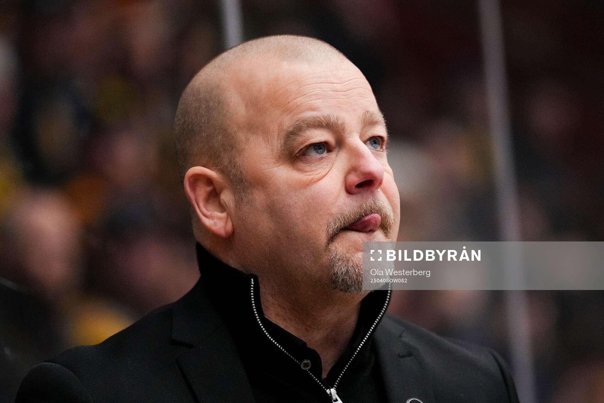 Brynäs tränare Niklas Gällstedt