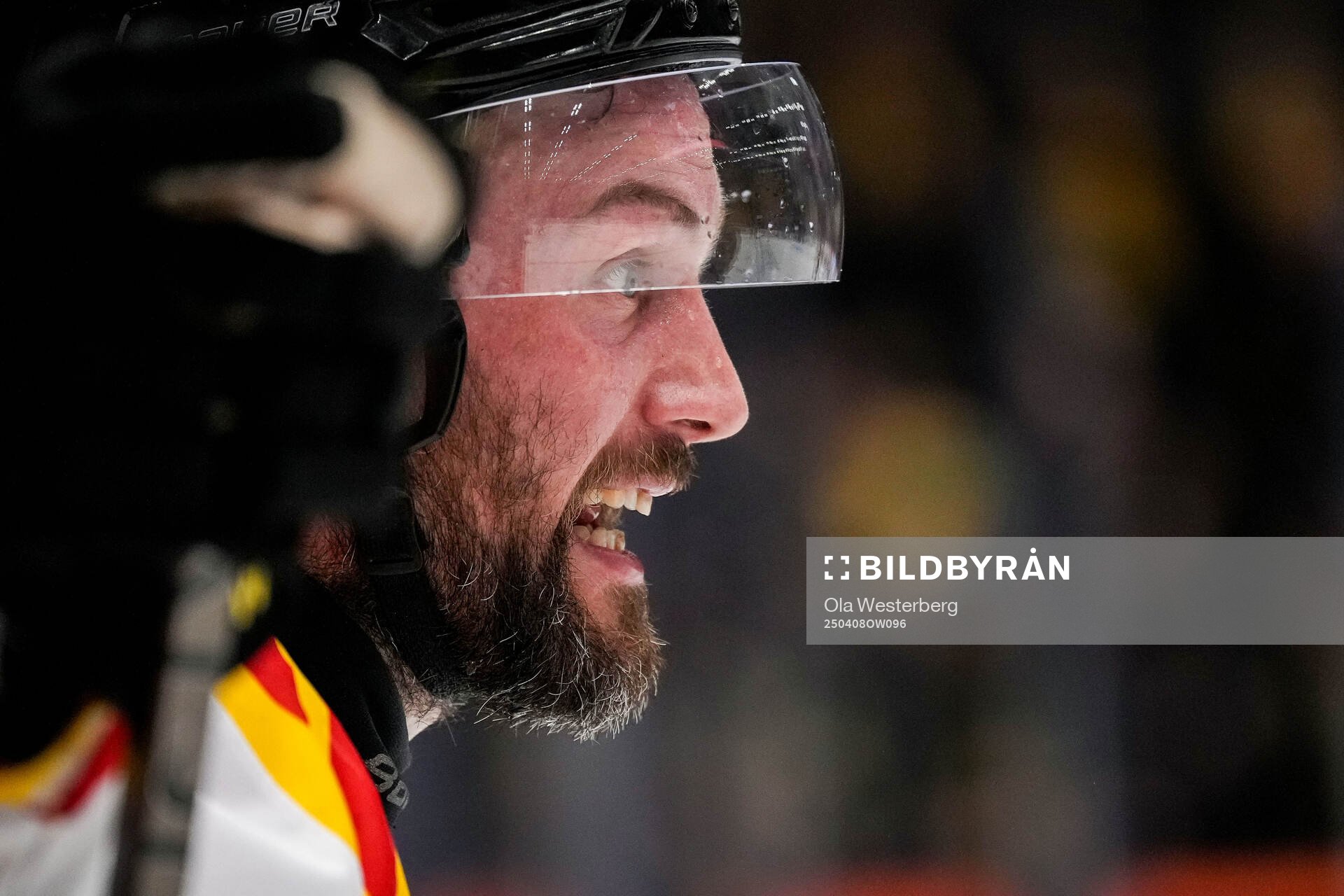 Brynäs Johan Larsson