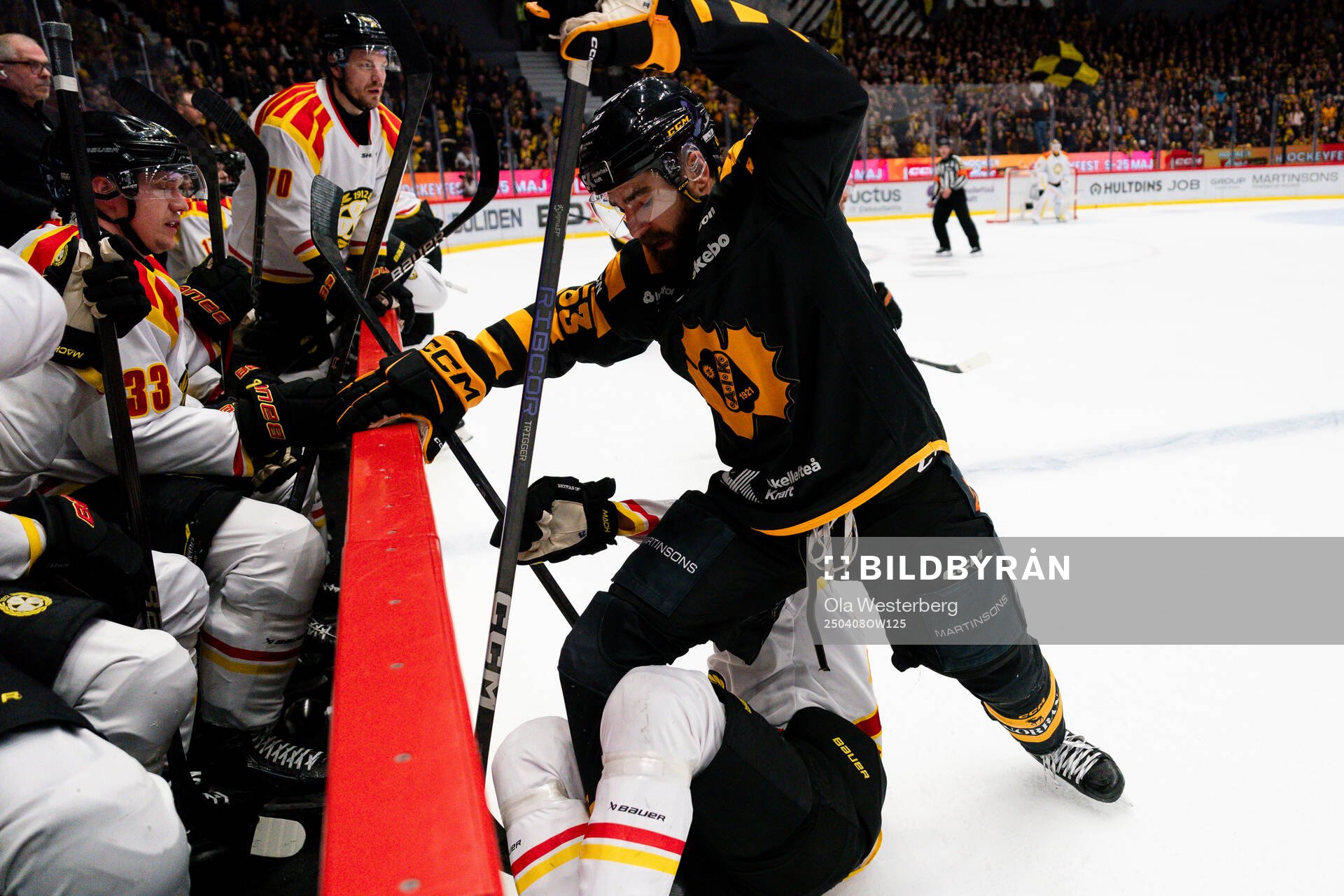 Skellefteås Luke Witkowski