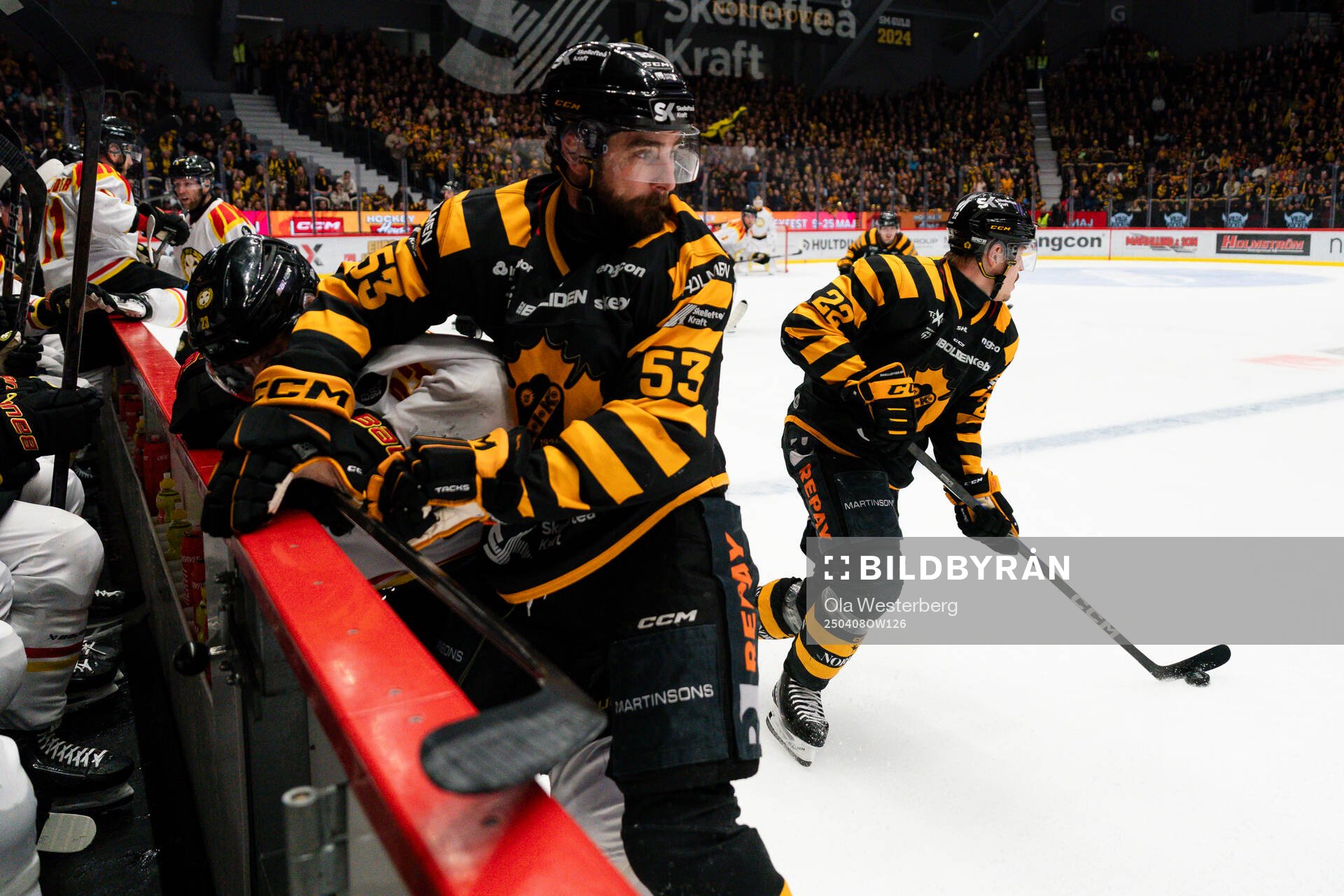 Skellefteås Luke Witkowski