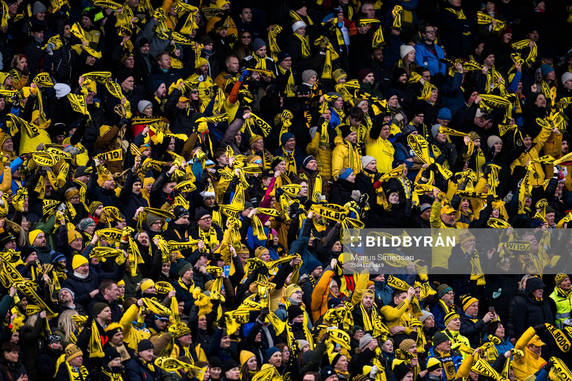 Spectators in the stands