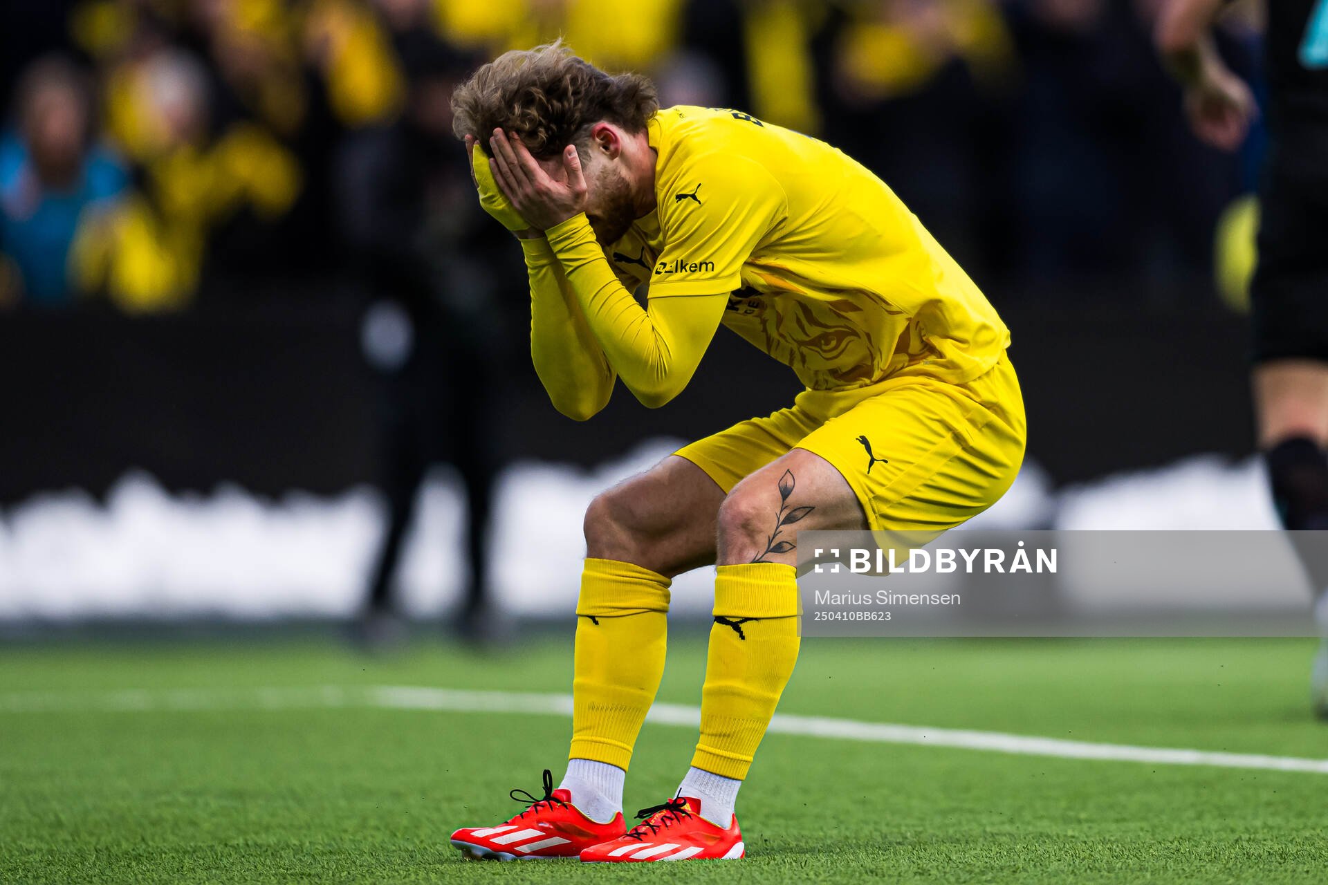 Ole Didrik Blomberg of Bodø/Glimt looks dejected